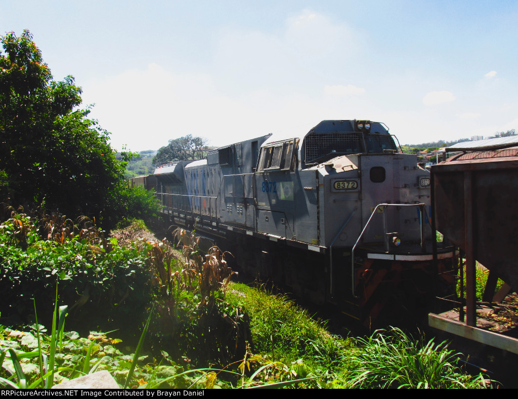 VLI 8372